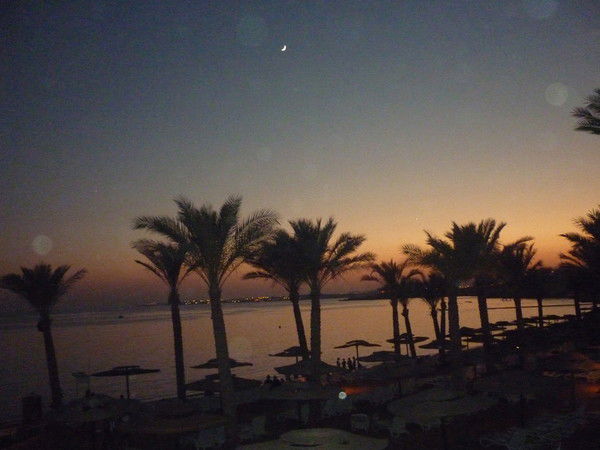 Геннадий Туров