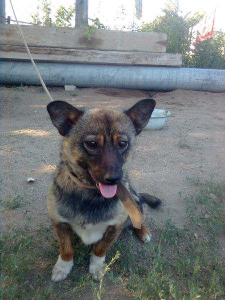 Владимир Киндер