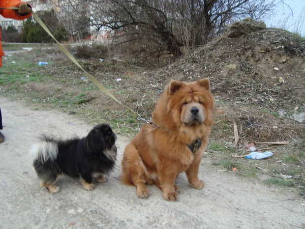 Таня Башкирова