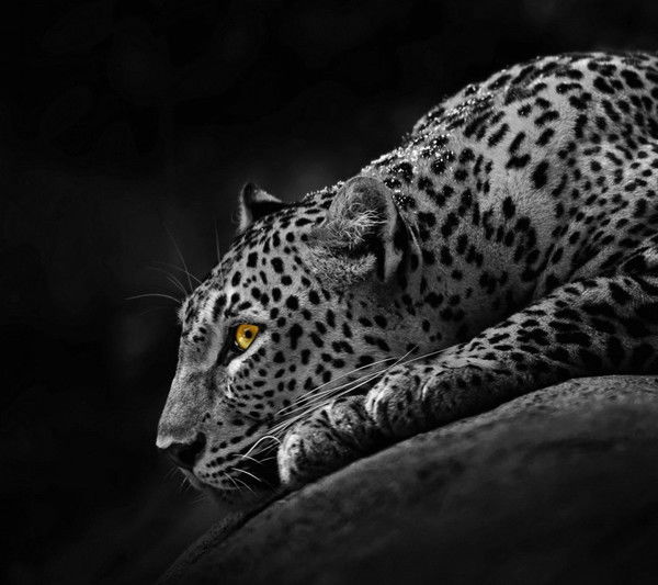 Нургуль Есимова