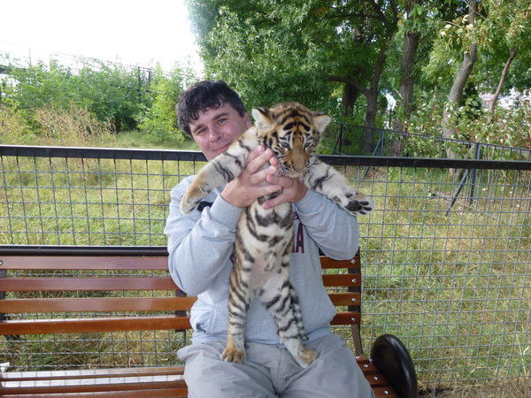 Дмитрий Сапогов