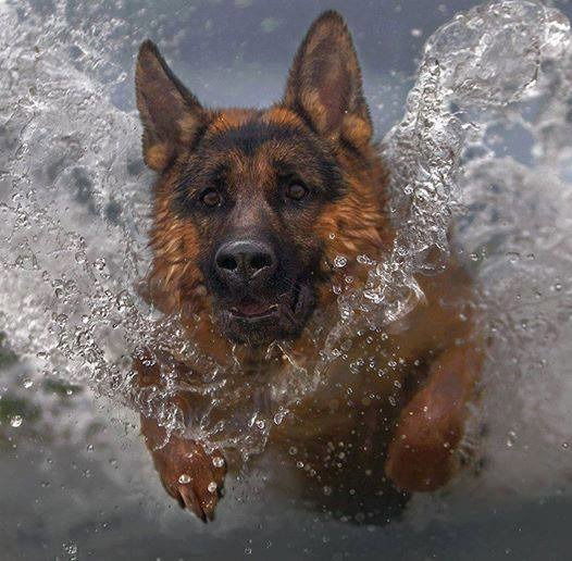 М М Клондайк