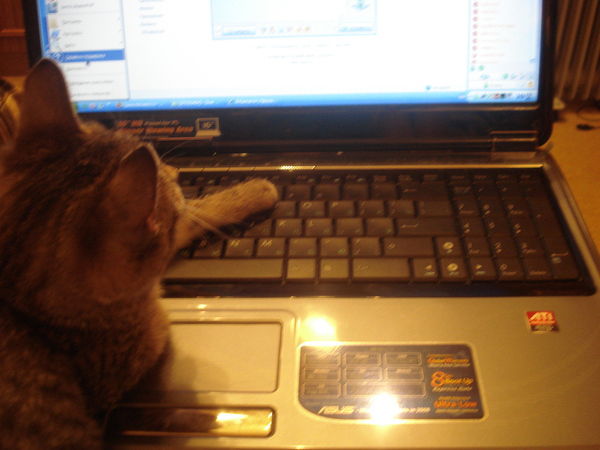 Елена Хохлова