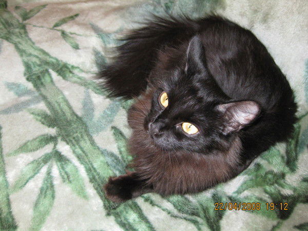 Светлана Морозова