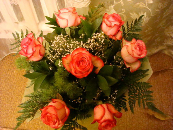 Наталья Шрайнер