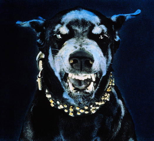 Сергей Костомаров