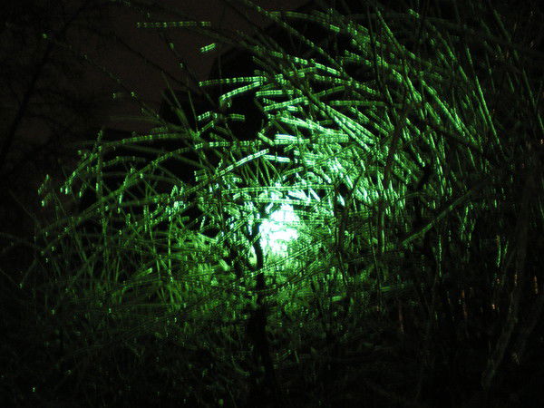 Валерий Козлов