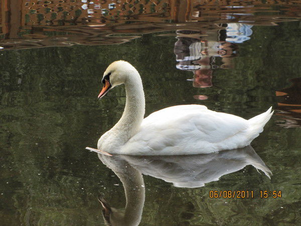 Ольга Филина