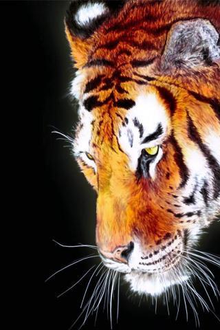 Королев Евгений