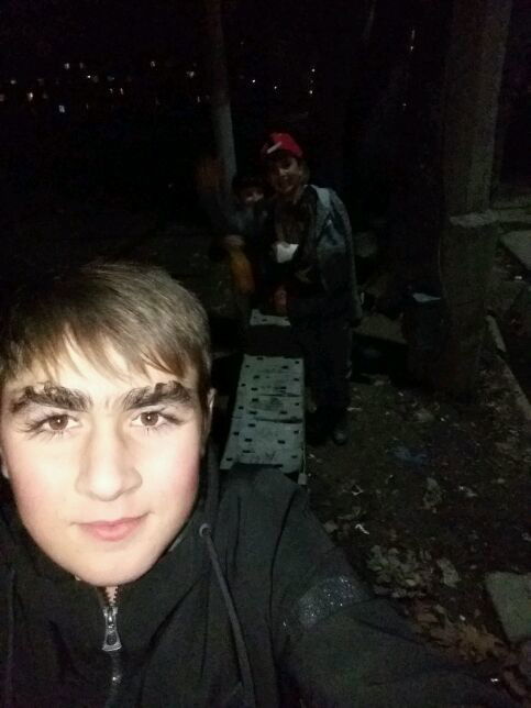 Бровист Бровист