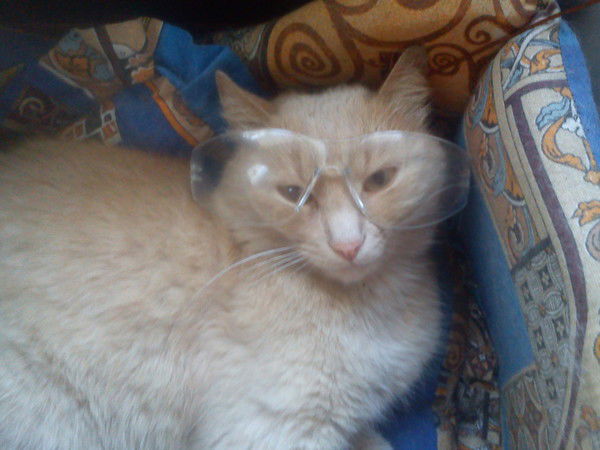 Олег Федоров