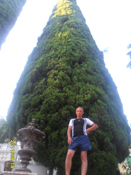 Алексей Карпов