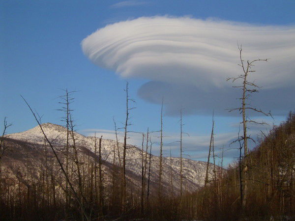 Виктор Зонов