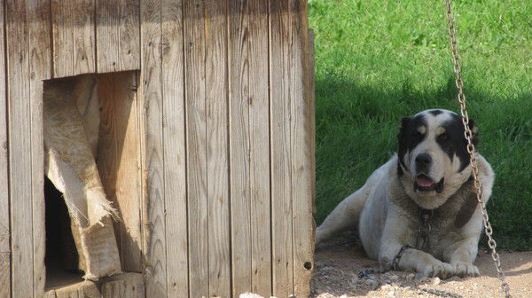 Сергей Ерхов