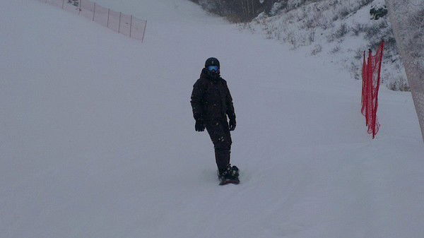 Андрей Лебедев