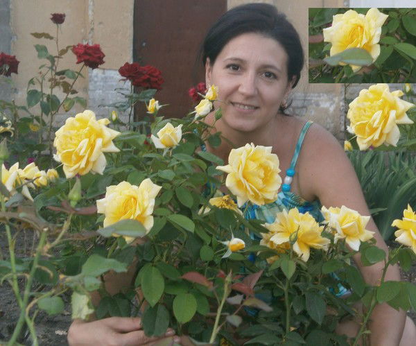 Юлия Амелина