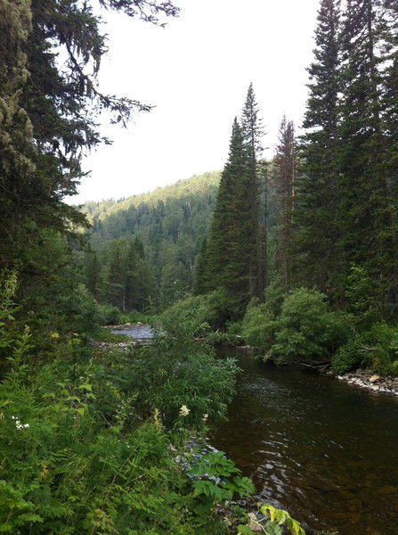 Иван Цыганков