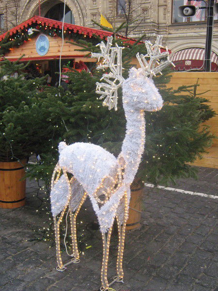 Татьяна Гончарова