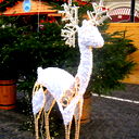 Татьяна Гончарова