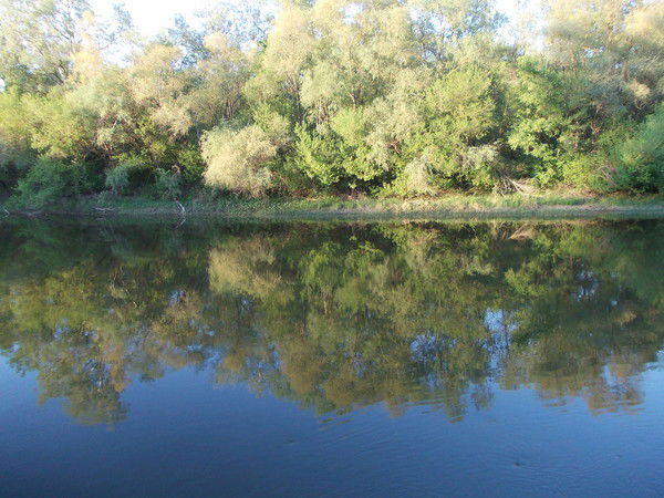 Галина Коробка