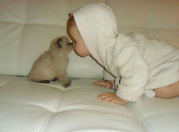 Елена Галикеева