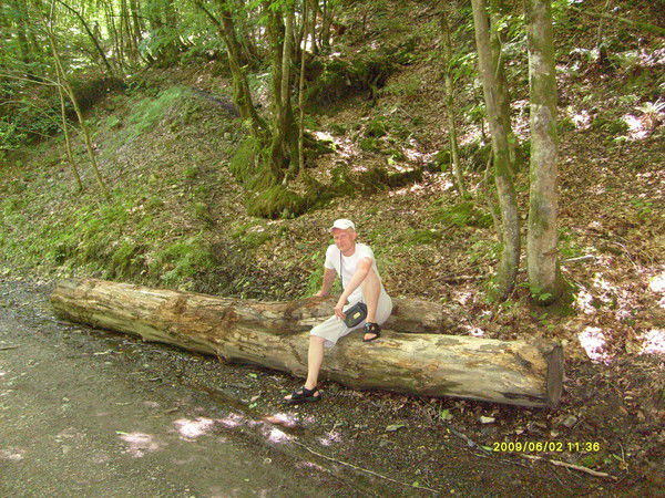 Алексей Степанов