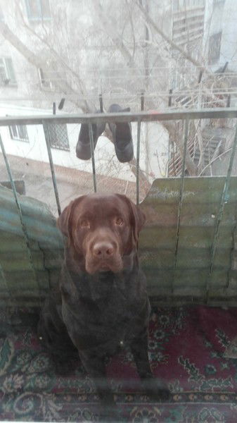 Екатерина ****