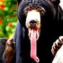 Александр Дегтярев