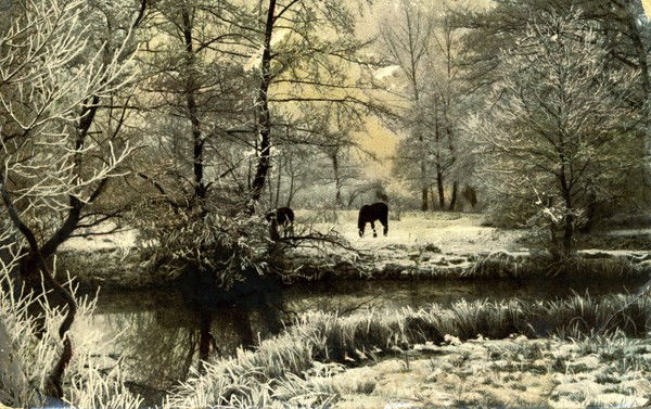 Александр Ляшевский