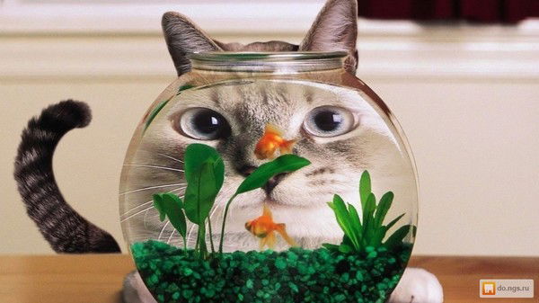 Андрей Кононов