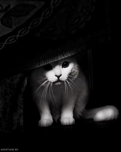 Оля Комазова