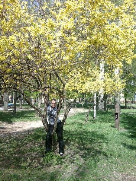 Дашутка Михайлевская