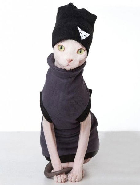 Глеб Лежнев