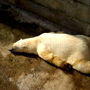 Павел Киселев