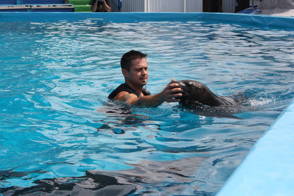 Николай Мицук