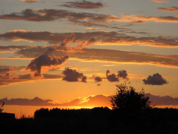 Елена Лёвочкина