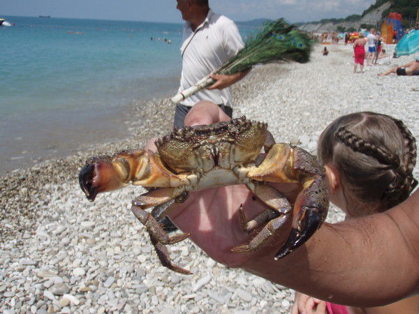 Андрей Трусов