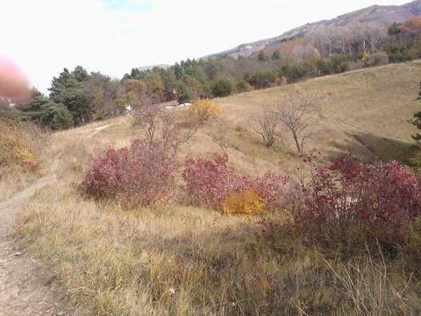 Образовательное Учреждение № 202 Фкп