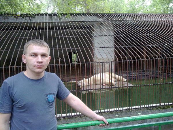 Кирилл Шмидт