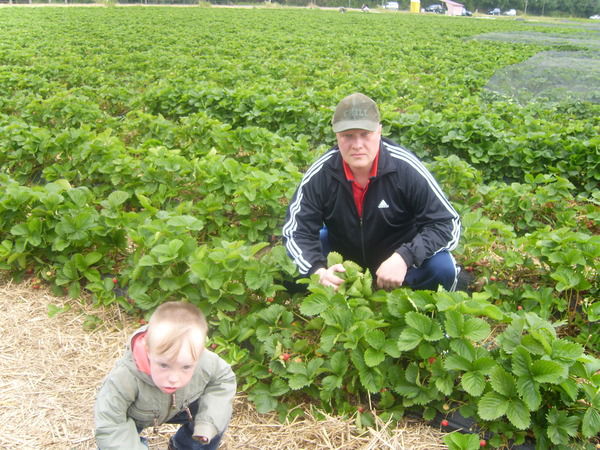 Павел Боярский