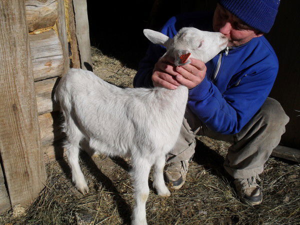 Галина Голубых