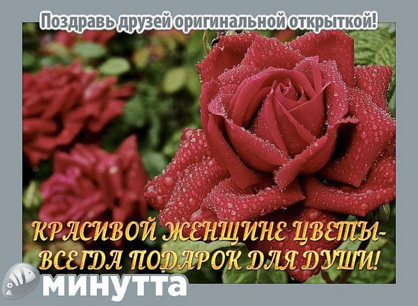 Елена Маклакова