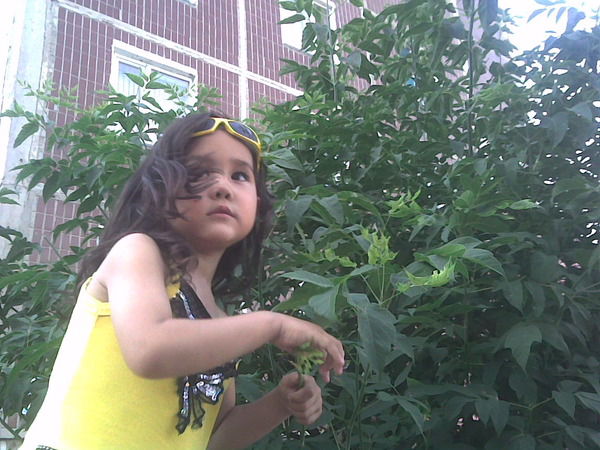 Тлеужан Адепбаева