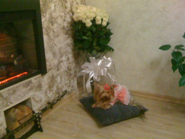 Ольга Панфилова