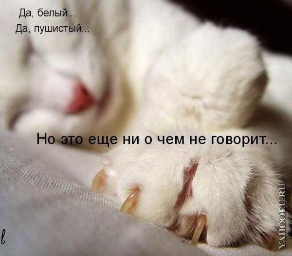 Алексей Кислов