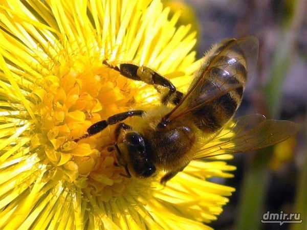 Екатерина Савченко