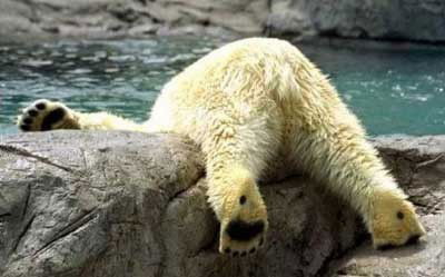 Витя Унковский