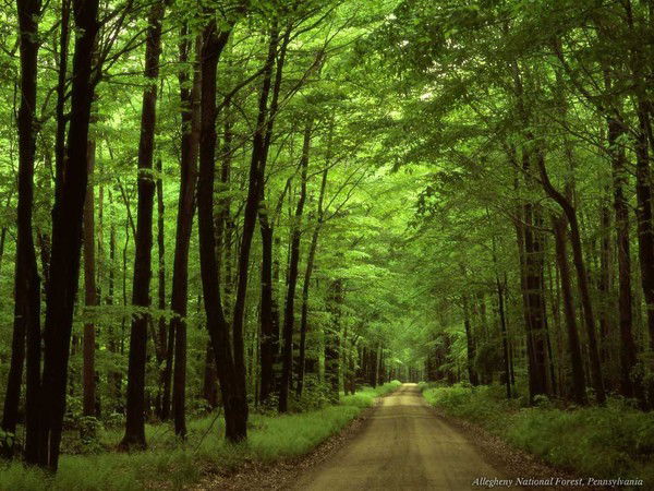 Дидар Исабекова