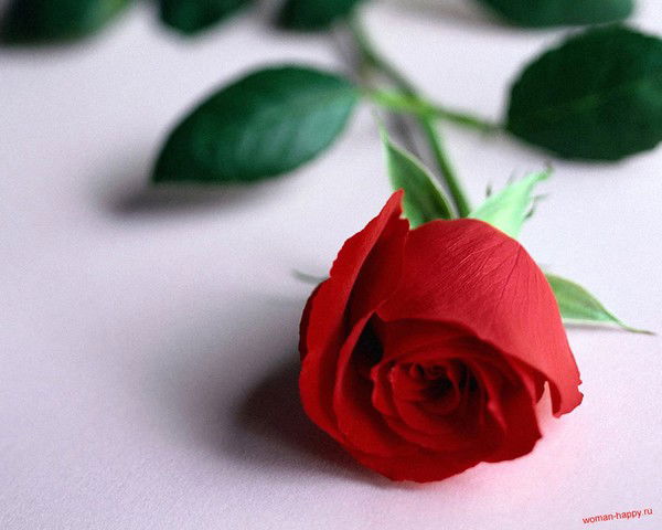 Динара Айтбаева