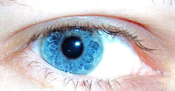 Игорь Ниникин